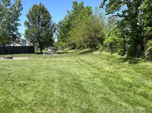 Lucas H.'s lawn care services service result