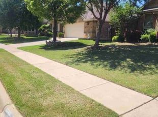 Emily A.'s lawn service service result