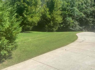 Joshua R.'s turf care service result