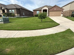Nancy C.'s grass maintenance service result