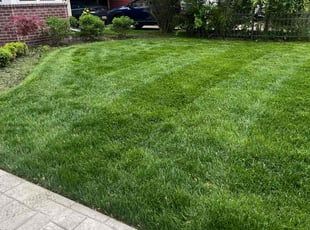 Adam A.'s lawn maintenance service result