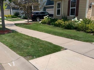 Kalid H.'s lawn service service result