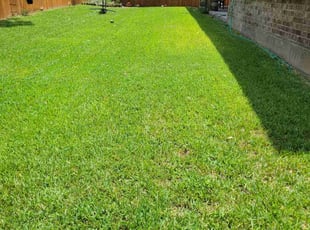 Sherika H.'s turf care service result