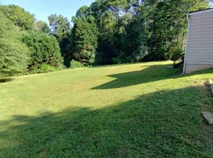 Jack B.'s lawn care services service result