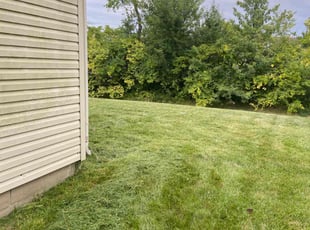 Nick L.'s grass cutting service result