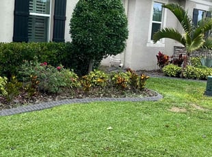 Maria T.'s Tree Care service result