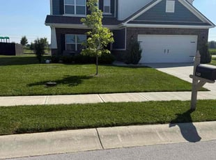 Paula C.'s lawn care services service result