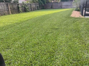Lydia R.'s grass maintenance service result