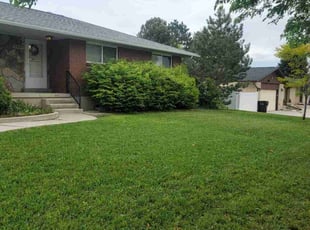 Max J.'s lawn service service result