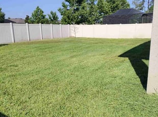 Dolly P.'s lawn care services service result