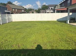 Shaz B.'s grass cutting service result