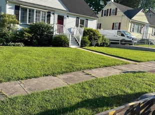 Lela G.'s lawn care service result
