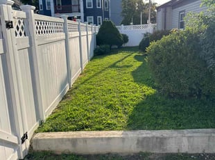 Kamal L.'s turf care service result