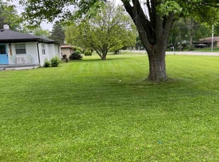 Charnelle L.'s lawn care service result