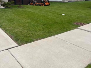 Scott W.'s lawn maintenance service result