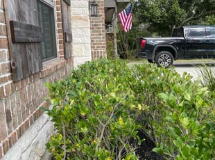 Julio J.'s Bush Trimming service result