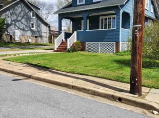 Dieudonne A.'s lawn maintenance service result