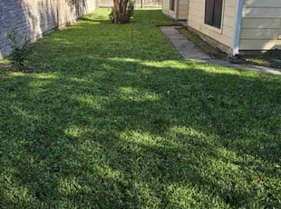 Abhishek P.'s grass maintenance service result