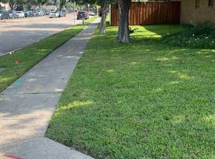 Sondria T.'s lawn care services service result