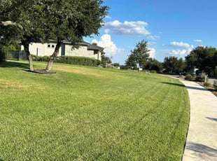 Gems D.'s lawn service service result