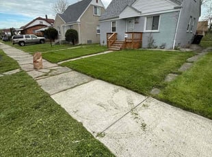 Summer J.'s grass maintenance service result