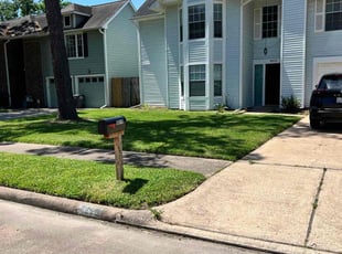 Khaled A.'s lawn care services service result