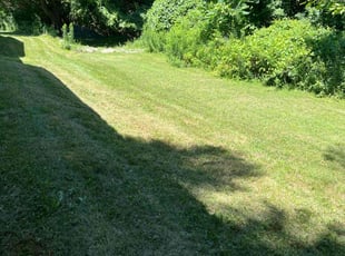 Bradley R.'s lawn care service result
