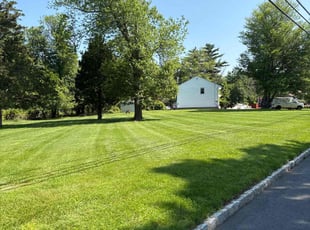 Deborah L.'s turf maintenance service result