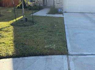 Dennis M.'s lawn maintenance service result