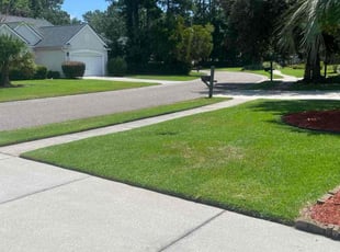 Emily L.'s Bush Trimming service result