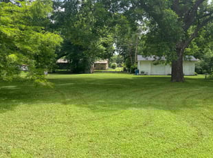 Judith B.'s grass cutting service result
