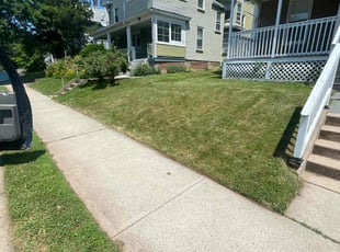 Arwen T.'s turf maintenance service result