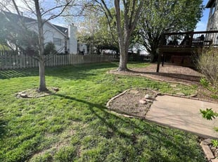 Nicole L.'s Leaf Removal service result