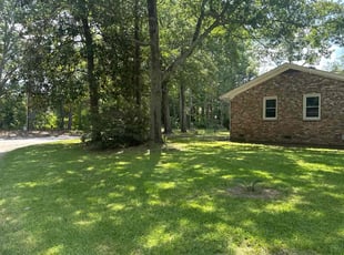Steven A.'s lawn service service result