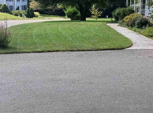 Dave M.'s turf care service result