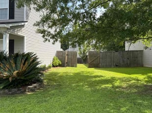 Mark S.'s turf maintenance service result