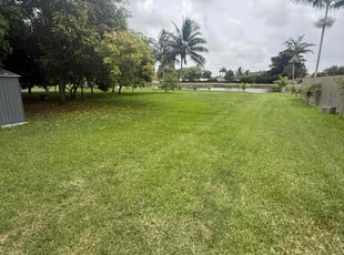 Allen L.'s lawn maintenance service result
