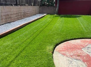 Wayne J.'s yard maintenance service result