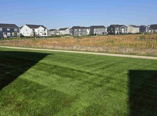 Carol L.'s lawn maintenance service result