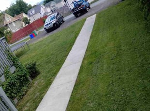 Monica R.'s turf maintenance service result
