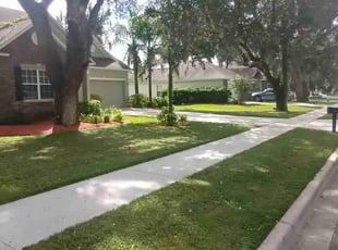Tim N.'s lawn maintenance service result