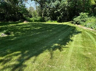 Evan P.'s turf maintenance service result