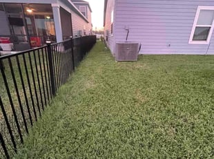 Sandra C.'s lawn maintenance service result