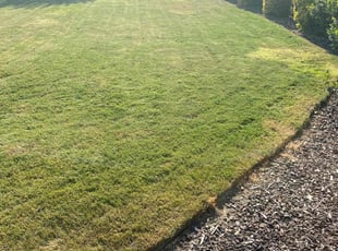 Ashley W.'s lawn care services service result