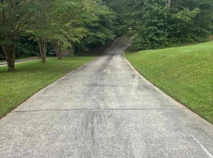 Marty B.'s lawn service service result