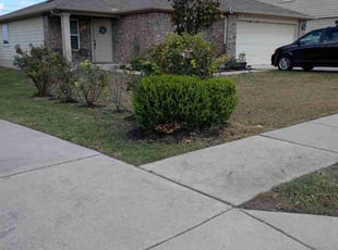 Debra M.'s Bush Trimming service result