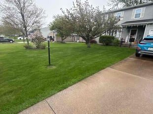 Randall S.'s lawn service service result