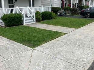 Thomas D.'s lawn care services service result