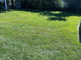 Erica W.'s yard service service result