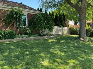 Sharian L.'s turf care service result